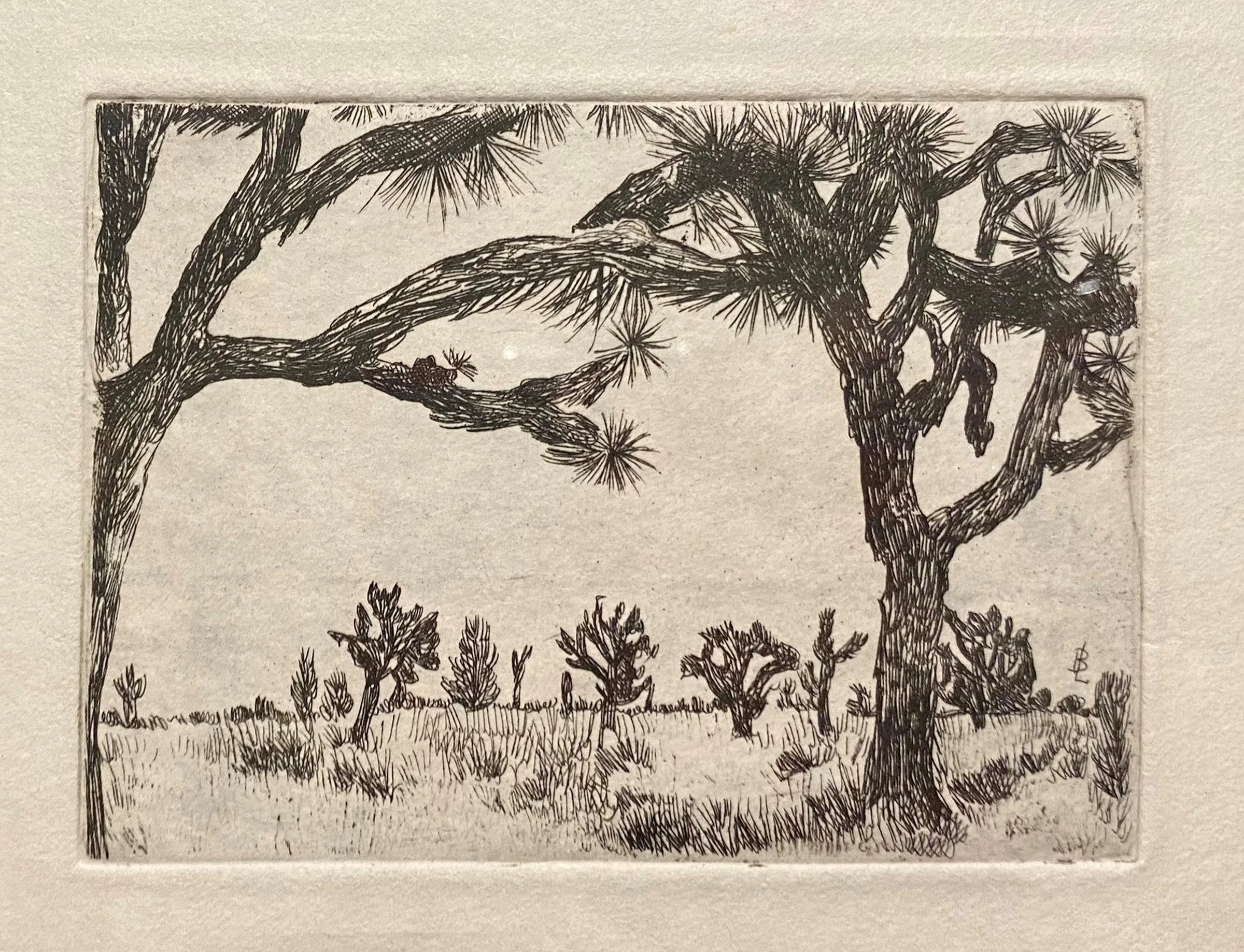 Barbara Latham — Nedra Matteucci Galleries